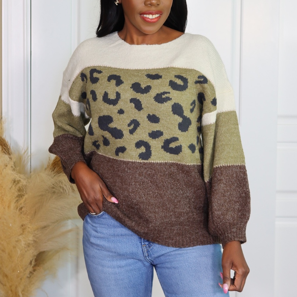 ANIMAL PRINT WITH COLOR BLOCKS SWEATER - Picture 1 of 9